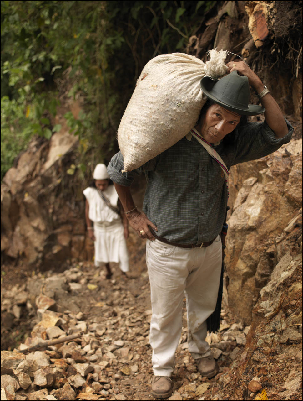 Caficultor transportando café recolectado por el sendero de la Sierra