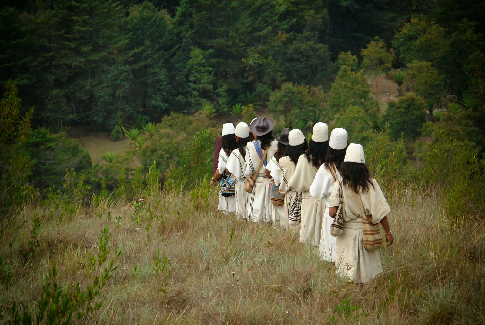 Comunidad de la Sierra Nevada de Santa Marta caminando hacia los cafetales en Colombia